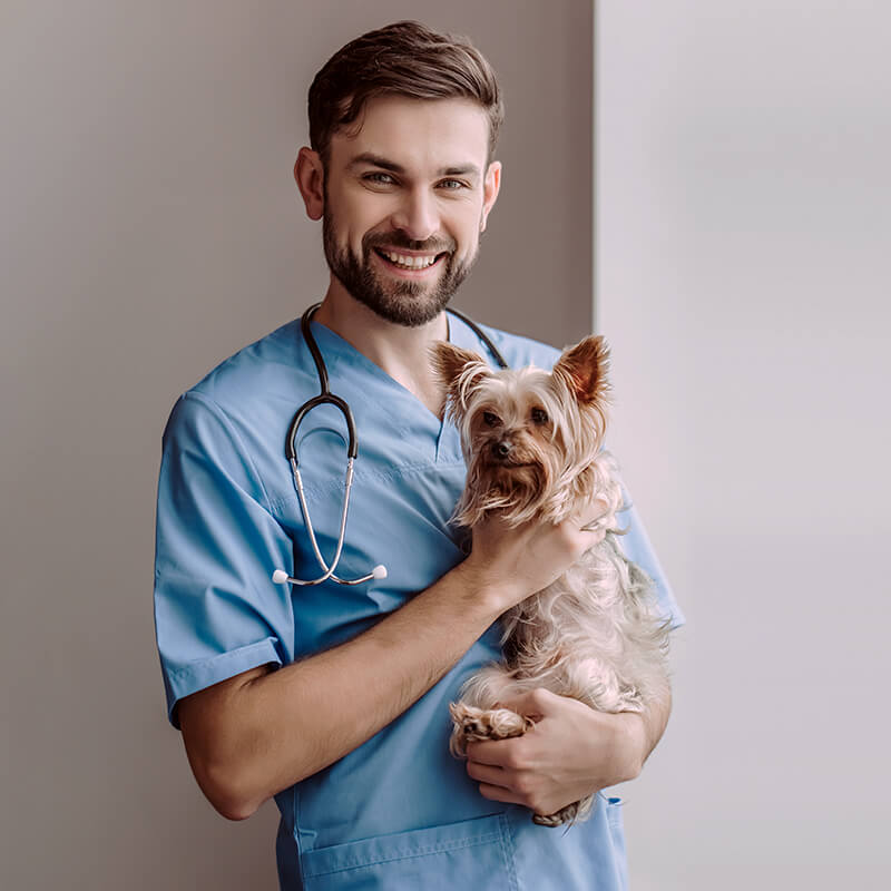 Happy vet holding a dog